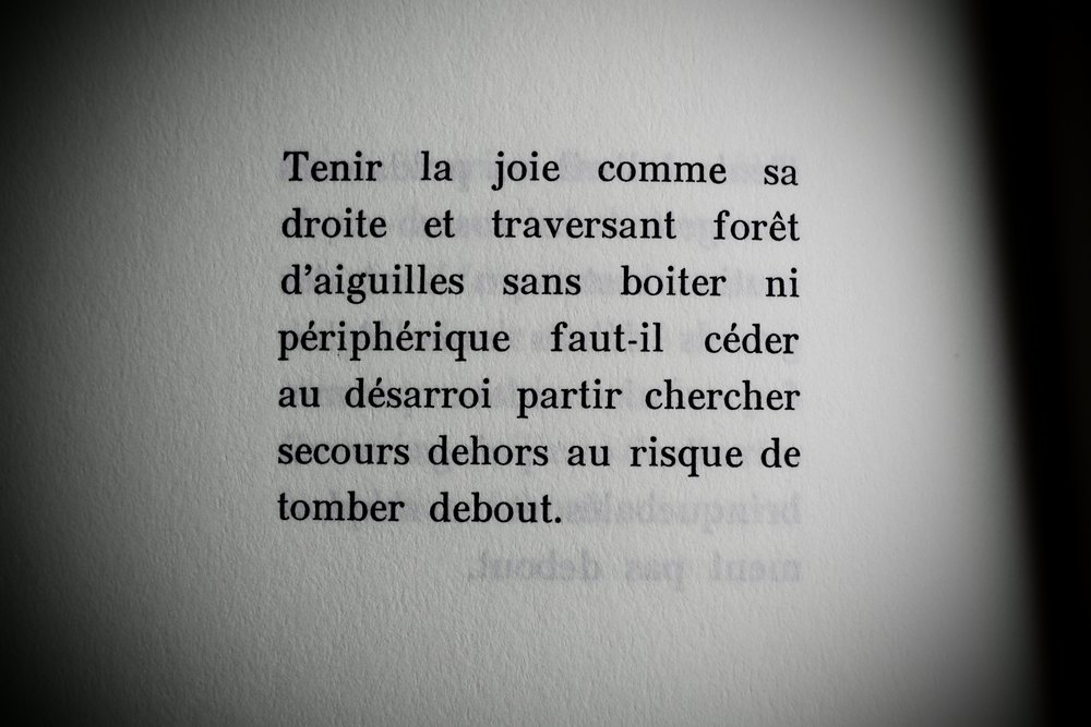 photo d'un poème, extrait du livre "Si je suis de ce monde" d'Albane Gellé.