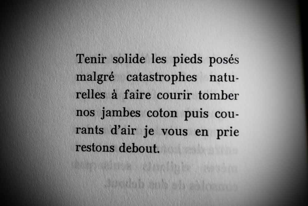 photo d'un poème, extrait du livre "Si je suis de ce monde" d'Albane Gellé.